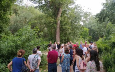 Dos actividades para conocer mejor el barrio