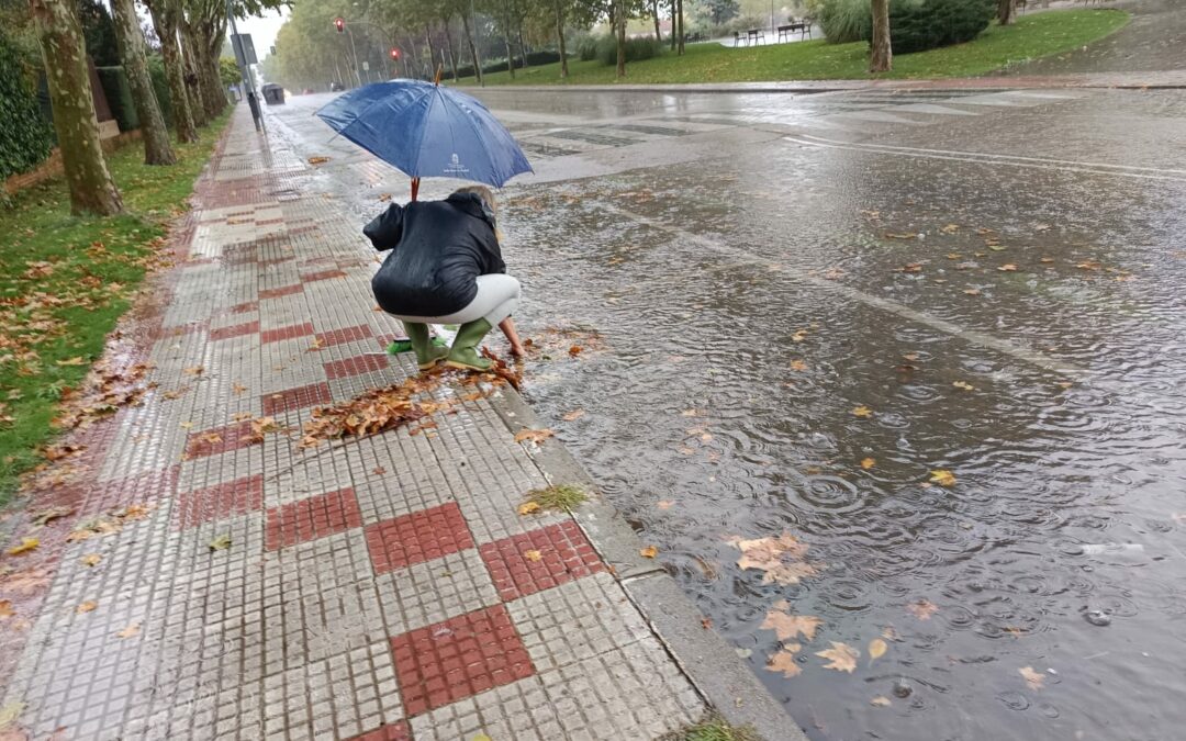 La Asociación Estación La  Chopera trabaja por evitar daños e inundaciones futuras