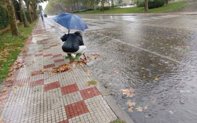 La Asociación Estación La  Chopera trabaja por evitar daños e inundaciones futuras