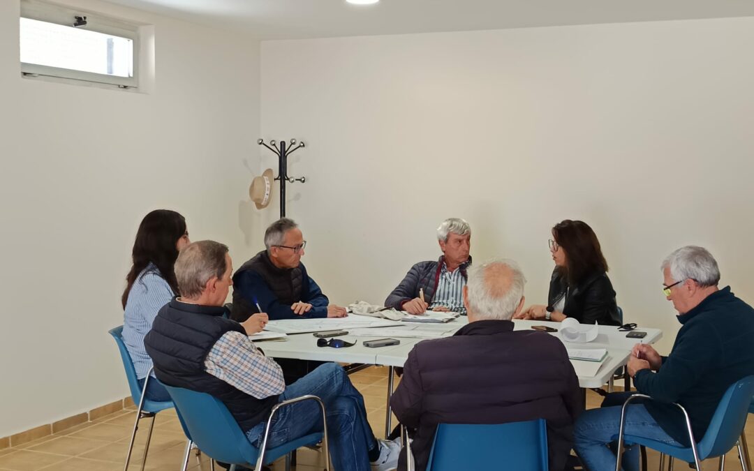 Solicitamos solución al problema del colector en el Pleno Municipal